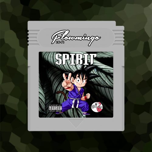 SPIRIT INSTA COVER